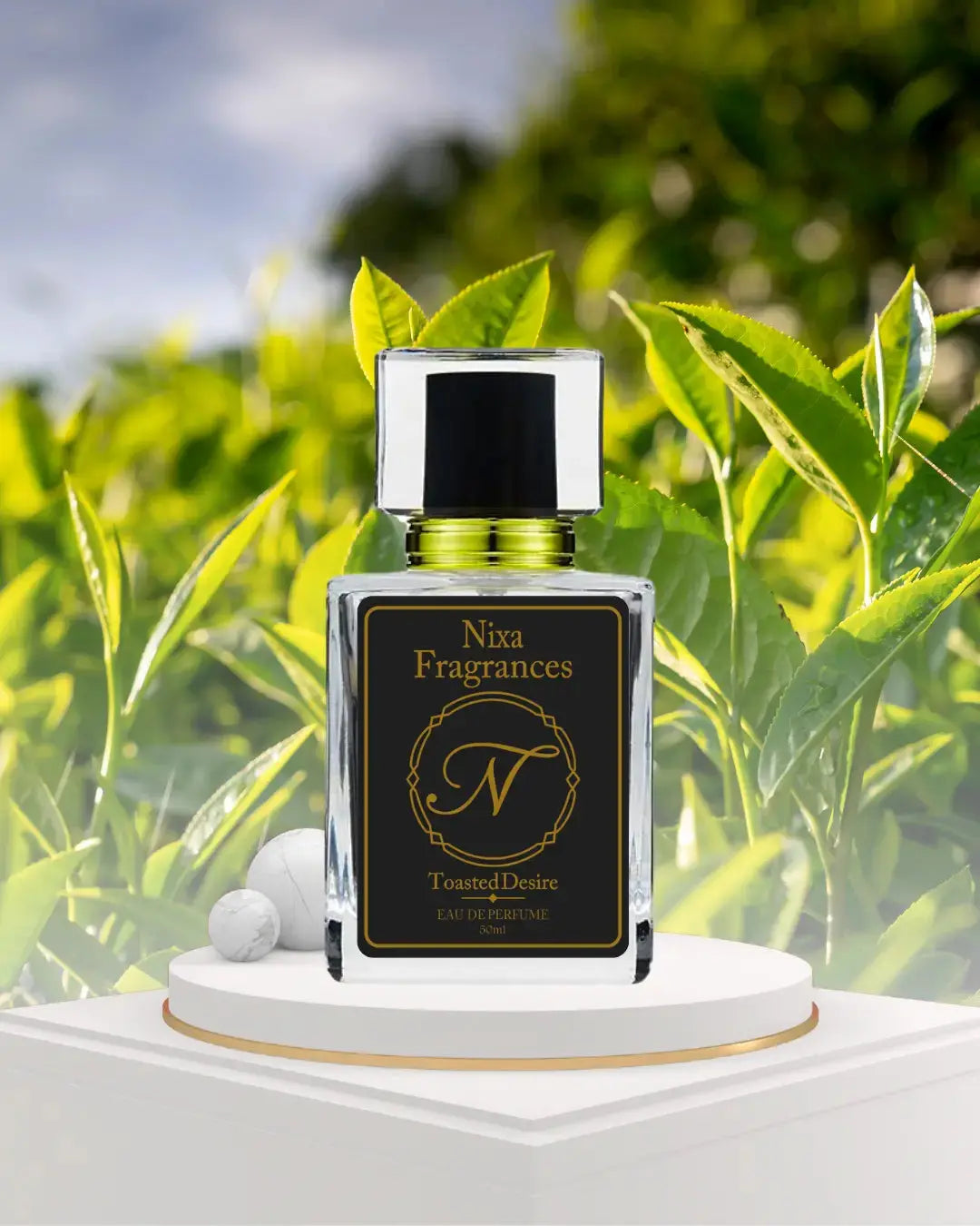 Toasted Desire by NIXA Frgarances– best long lasting fresh summer perfume for men in Pakistan 2026 with citrus, green tea, and musk notes